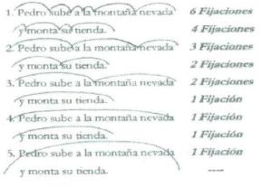 Visión y Lectura