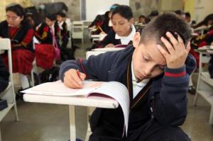 primaria