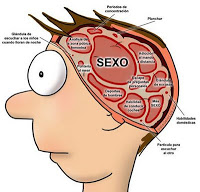 cerebro_hombre (1)