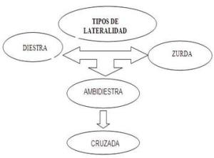 esquema_lateralidad