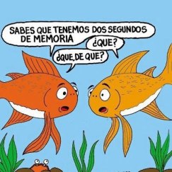 memoria