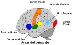 images (17)